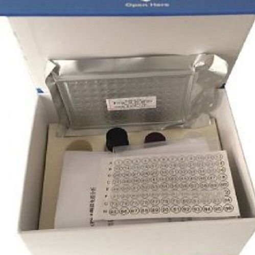 人白蛋白（ALB）ELISA试剂盒