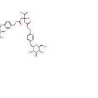 派立辛62499-28-9价格