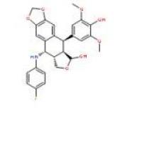 白果新酸20261-38-5厂家