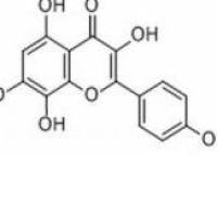 草质素527-95-7厂家