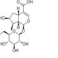 马钱苷酸22255-40-9厂家