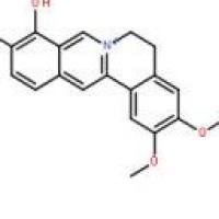 巴马亭红碱16176-68-4包装