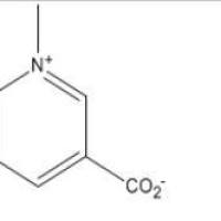葫芦巴碱535-83-1折扣