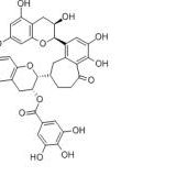 茶黄素-3'-没食子酸酯28543-07-9价格