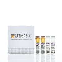 EasySep™人Naïve Pan T细胞分选试剂盒