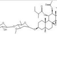 通关藤苷H191729-45-0价格