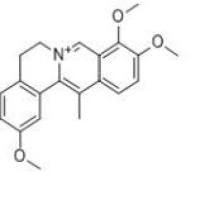 脱氢紫堇碱30045-16-0折扣