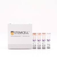 EasySep™人Gamma/Delta T细胞分选试剂盒