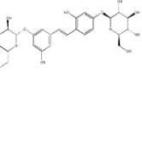 桑皮苷A102841-42-9折扣
