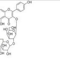 人参黄酮苷31512-06-8包装