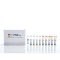 EasySep™人髓系DC富集试剂盒