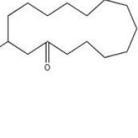 麝香酮541-91-3厂家