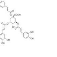 1,3,5-三咖啡酰奎宁酸1073897-80-9包装