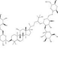 罗汉果皂苷V88901-36-4折扣