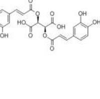 二咖啡酰酒石酸70831-56-0价格