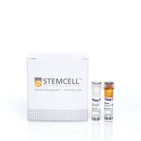 EasySep™人Naïve CD4 T细胞分选试剂盒II