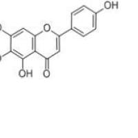野黄芩素529-53-3折扣