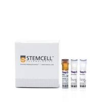 EasySep™人B细胞分选试剂盒