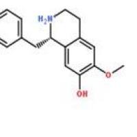 乌药碱2196-60-3厂家