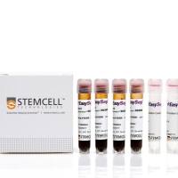 EasySep™ Direct人CD4+ T细胞分选试剂盒