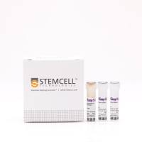 EasySep™人单核细胞分选试剂盒