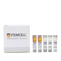 EasySep™人静息CD4+ T分选试剂盒