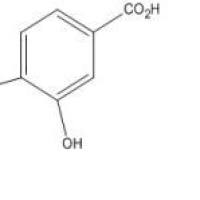 原儿茶酸99-50-3厂家