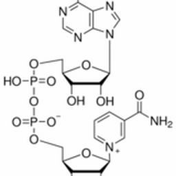 53-84-9/氧化型辅酶Ⅰ ,	BR，98%