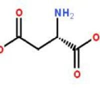 L-天冬氨酸56-84-8折扣