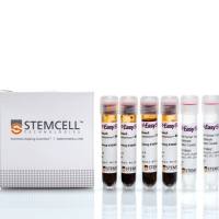 EasySep™Direct人总淋巴细胞分选试剂盒