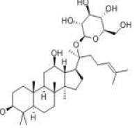 人参皂苷CK39262-14-1包装