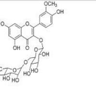 水仙苷604-80-8包装
