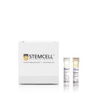 EasySep™人PSC来源心肌细胞富集试剂盒