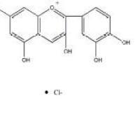 氯化矢车菊素528-58-5折扣
