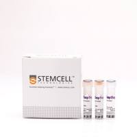 EasySep™人Pan粒细胞分选试剂盒