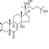 蜕皮激素5289-74-7厂家