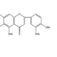 甜橙黄酮2306-27-6包装