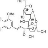 西伯利亚远志糖A6241125-75-7厂家