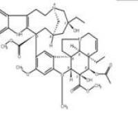 长春碱、长春花碱865-21-4折扣