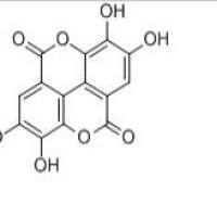鞣花酸476-66-4价格