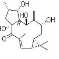 7-羟基千金子二萜醇34208-98-5包装