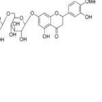 橙皮苷520-26-3包装