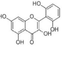 粘毛黄芩素 I92519-95-4厂家