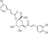 1,3-二咖啡酰奎宁酸19870-46-3价格