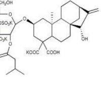 羧基苍术苷33286-30-5包装
