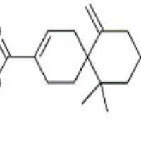 β-花柏烯酸包装