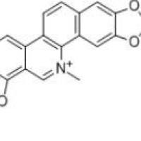 血根碱2447-54-3折扣