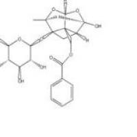 芍药苷23180-57-6折扣