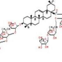多被银莲花皂苷R8124961-61-1价格