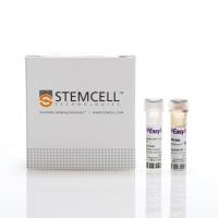 EasySep™人Naïve CD8+ T细胞分选试剂盒II